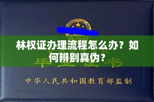 南昌林权证办理流程怎么办?如何辨别真伪?
