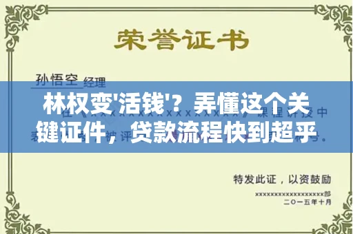 南昌林权变'活钱'?弄懂这个关键证件,贷款流程快到超乎想象!